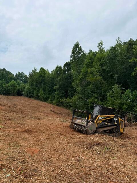 Forestry mulcher on freshly cleared slope
