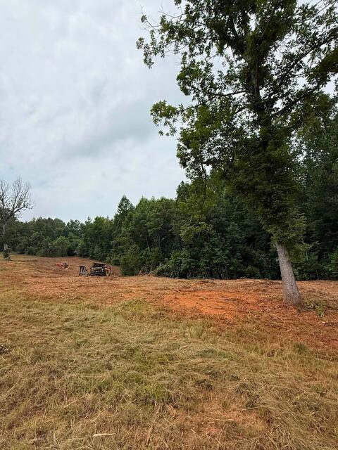Cleared field edge after mulching