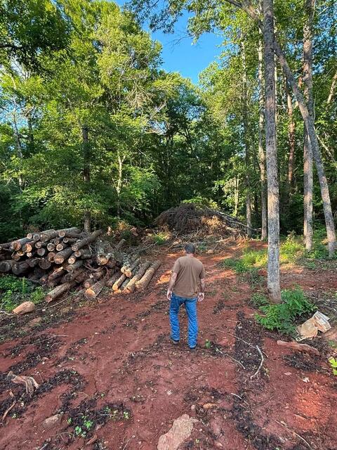 Wyatt walking a job site with stacked logs