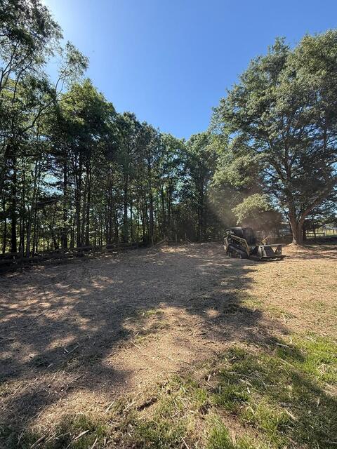Cleared pasture along a fence line