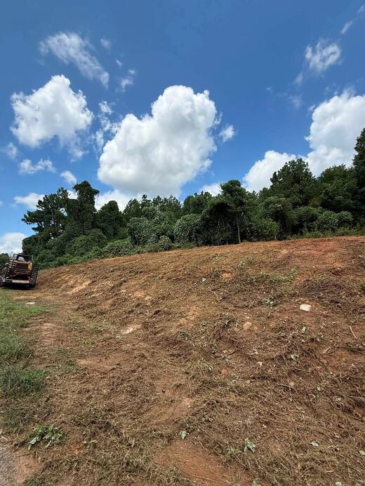 The same Travelers Rest hillside after mulching, cleared open with the tree line pushed back