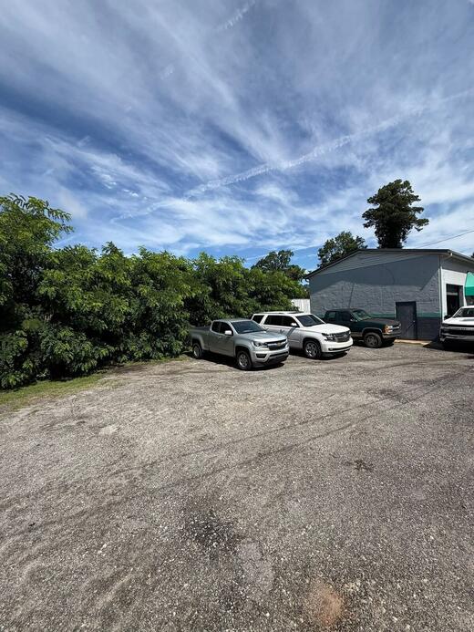 Pickens County lot before clearing, with brush and saplings grown up against a metal outbuilding